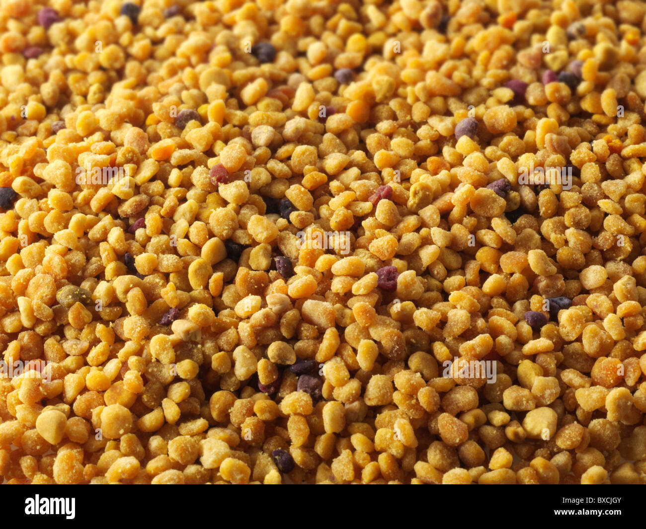 I granelli di polline - stock foto Foto Stock