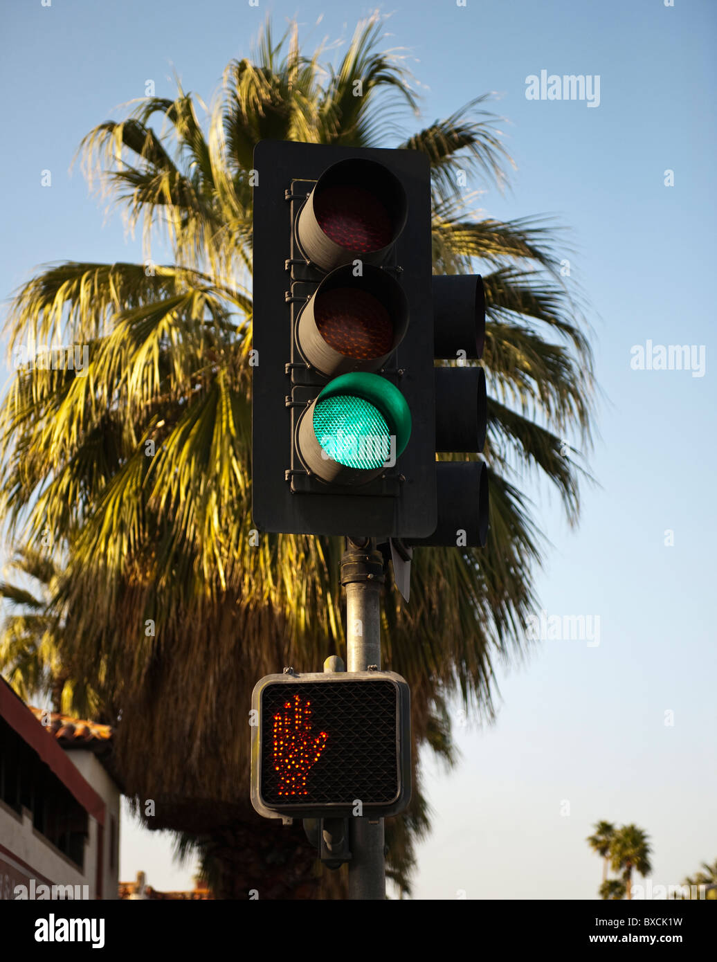 Verde segnale di traffico con Palm tree Foto Stock