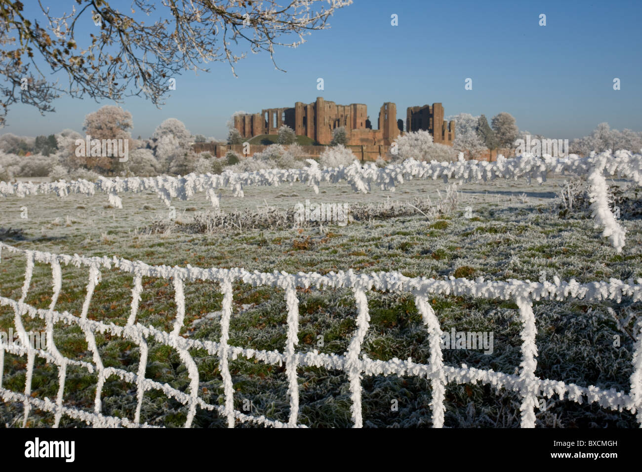 Brina su alberi - Regno Unito Foto Stock