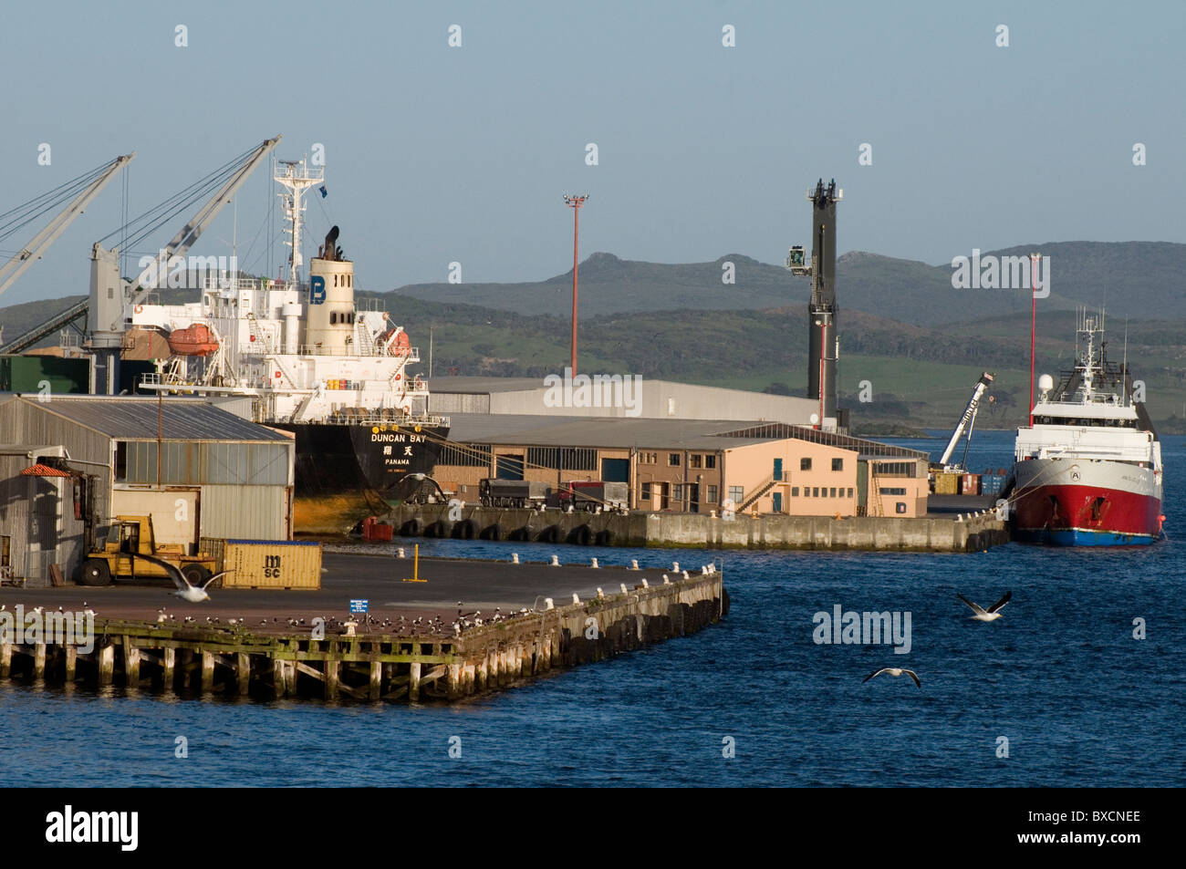 Porto di Bluff, Southland, Nuova Zelanda Foto Stock