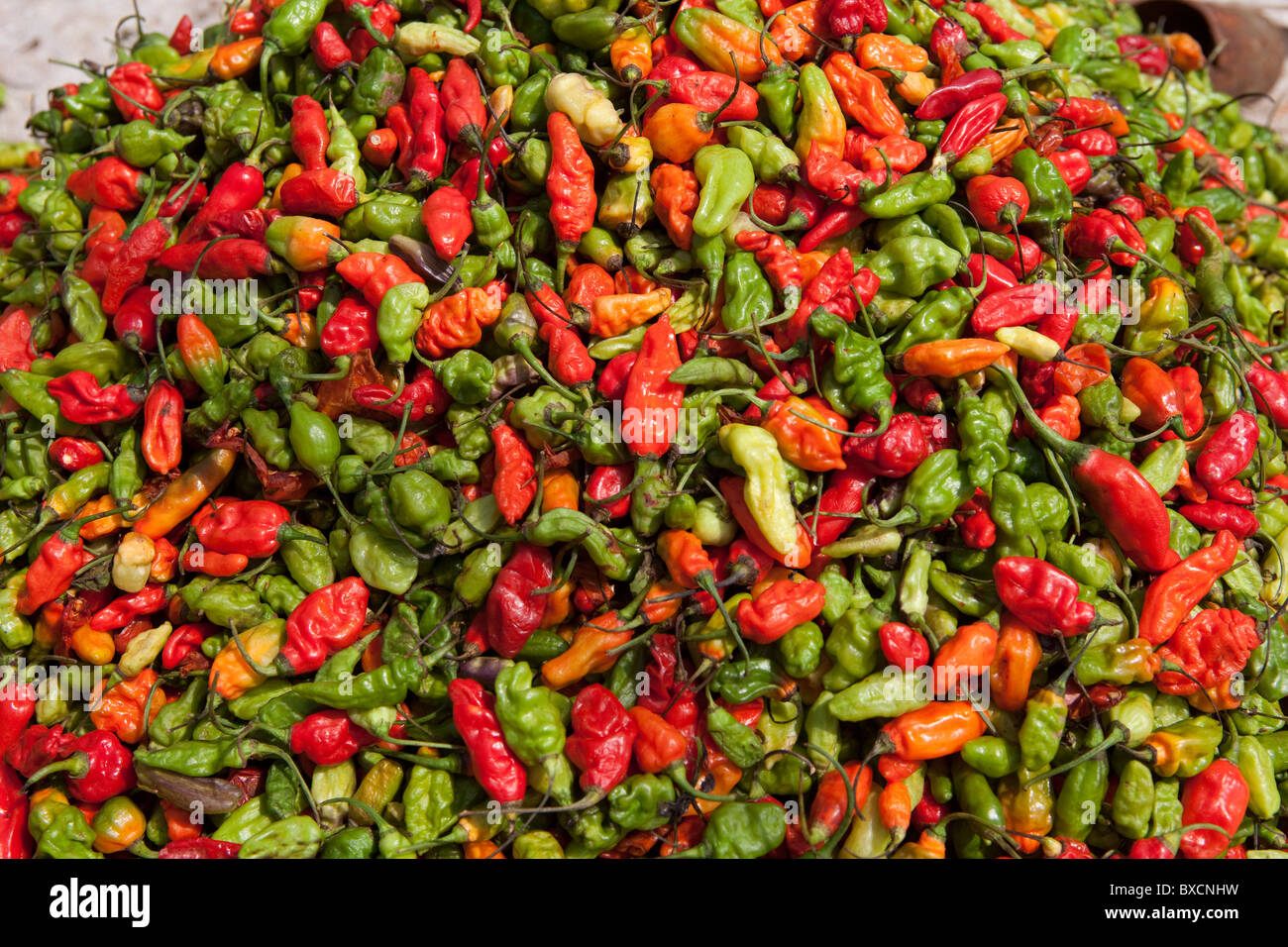 I peperoncini sono in vendita in un mercato a Freetown, in Sierra Leone, Africa occidentale. Foto Stock