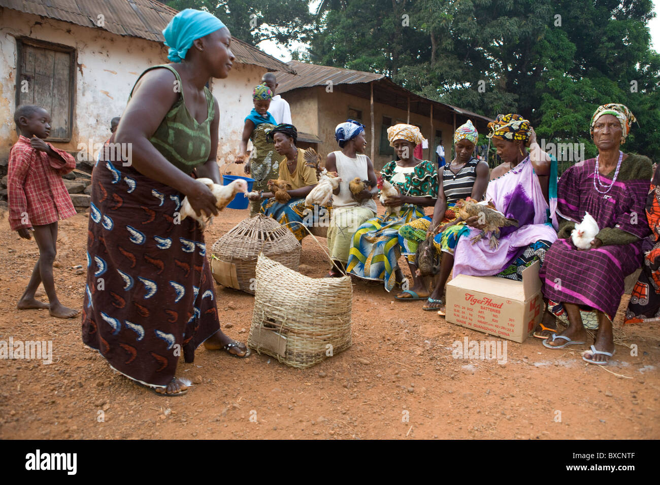 Gli abitanti del villaggio si riuniscono per ricevere le vaccinazioni per i loro polli in Port Loko, Sierra Leone, Africa occidentale. Foto Stock