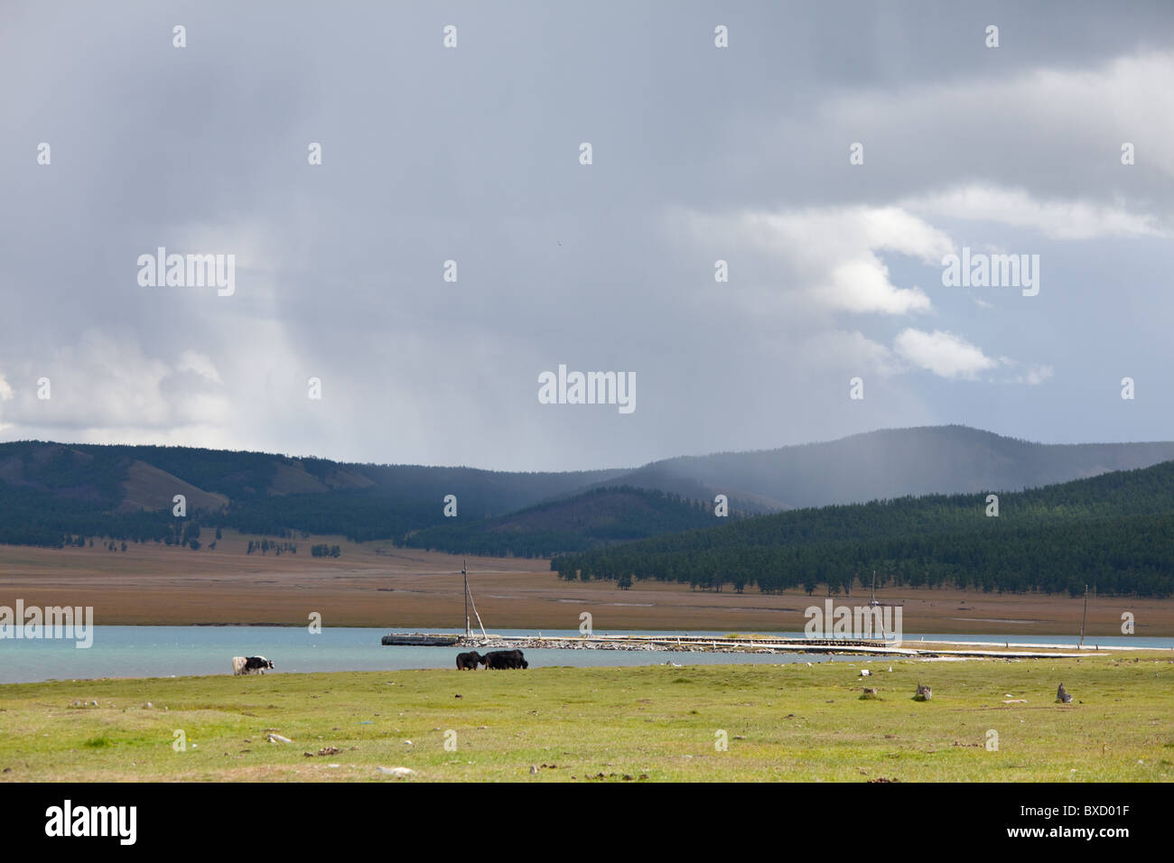 Il lago di Khovsgol .Mongolia, Khatgal somon (paese). A nord della Mongolia Foto Stock