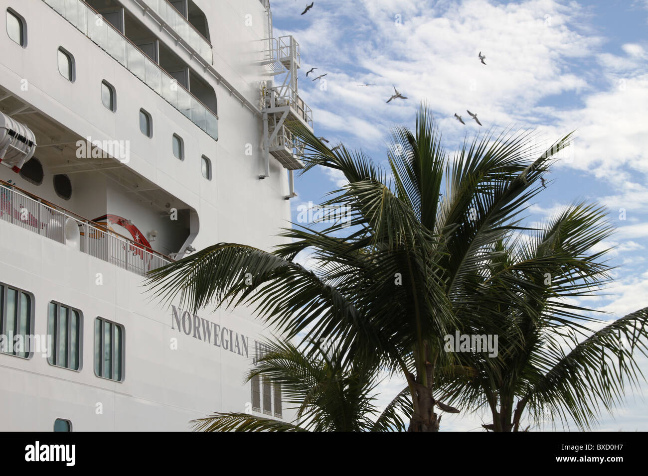 Cruiseship norvegese Gioiello di Nassau Foto Stock