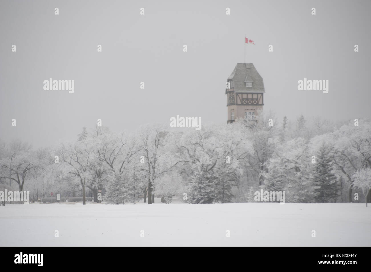 Winnipeg, gelo invernale Foto Stock