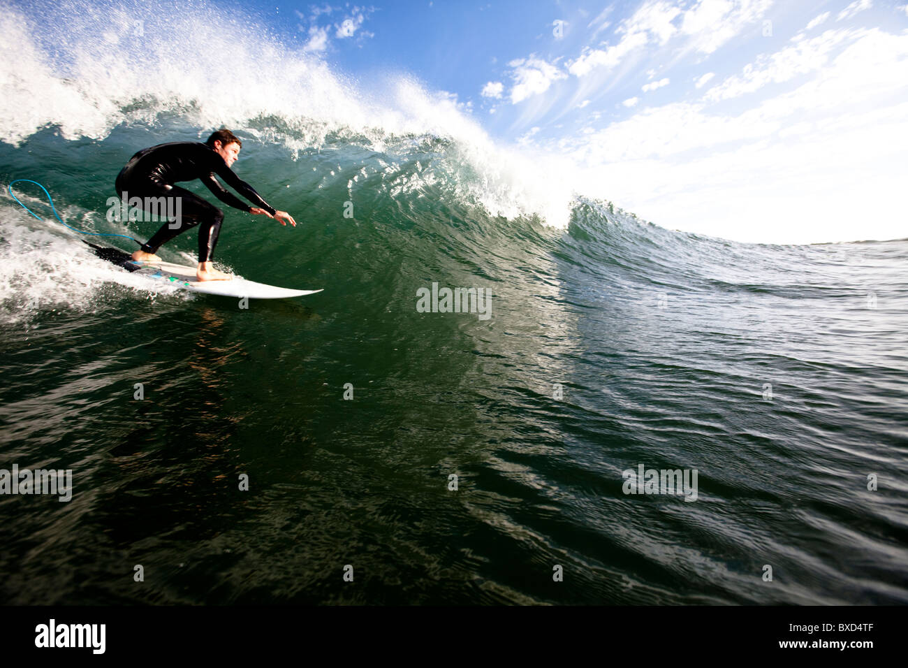 Un surfista maschio fa un giro di fondo mentre navigano in Malibu. Foto Stock