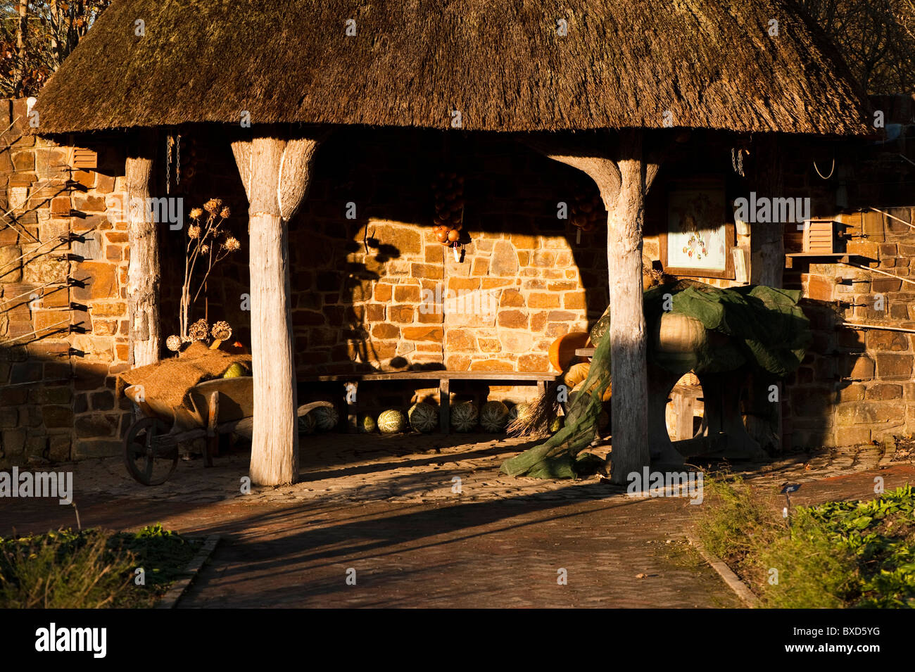 Display del raccolto della frutta e della verdura giardino alla RHS Rosemoor in novembre, Devon, Inghilterra, Regno Unito Foto Stock