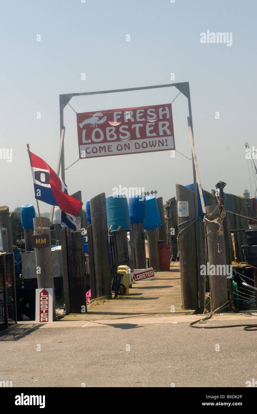 Aragosta fresca per la vendita sul dock Foto Stock