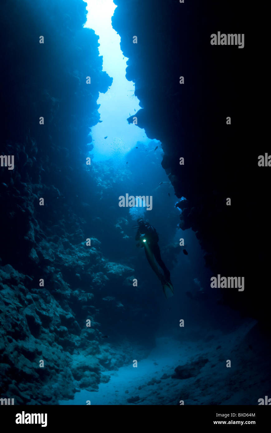 Scuba Diver nel Canyon, Canyon, Dahab, Mar Rosso, Egitto Foto Stock