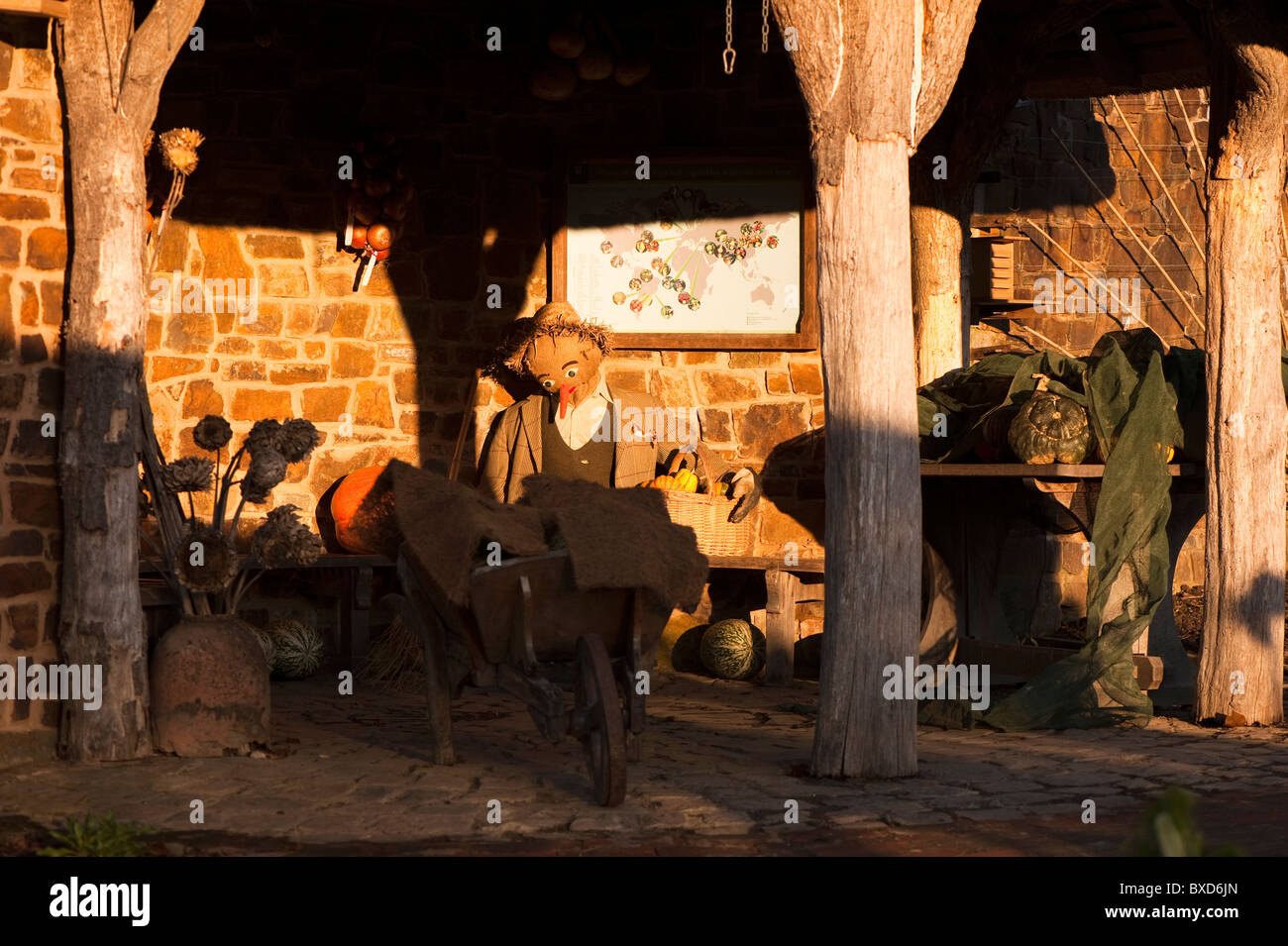 Lo Spaventapasseri e Display del raccolto della frutta e della verdura giardino alla RHS Rosemoor in novembre, Devon, Inghilterra, Regno Unito Foto Stock