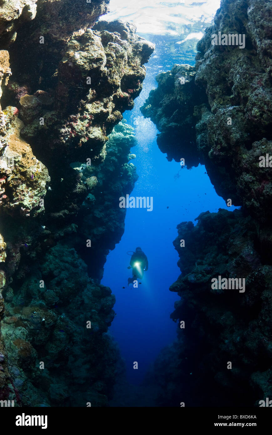 Scuba Diver nel crack, le campane, Dahab, Egitto, Mar Rosso Foto Stock