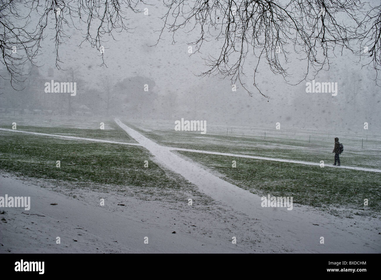 Un walker in una tempesta di neve su Richmond Green nella zona sud-ovest di Londra Foto Stock