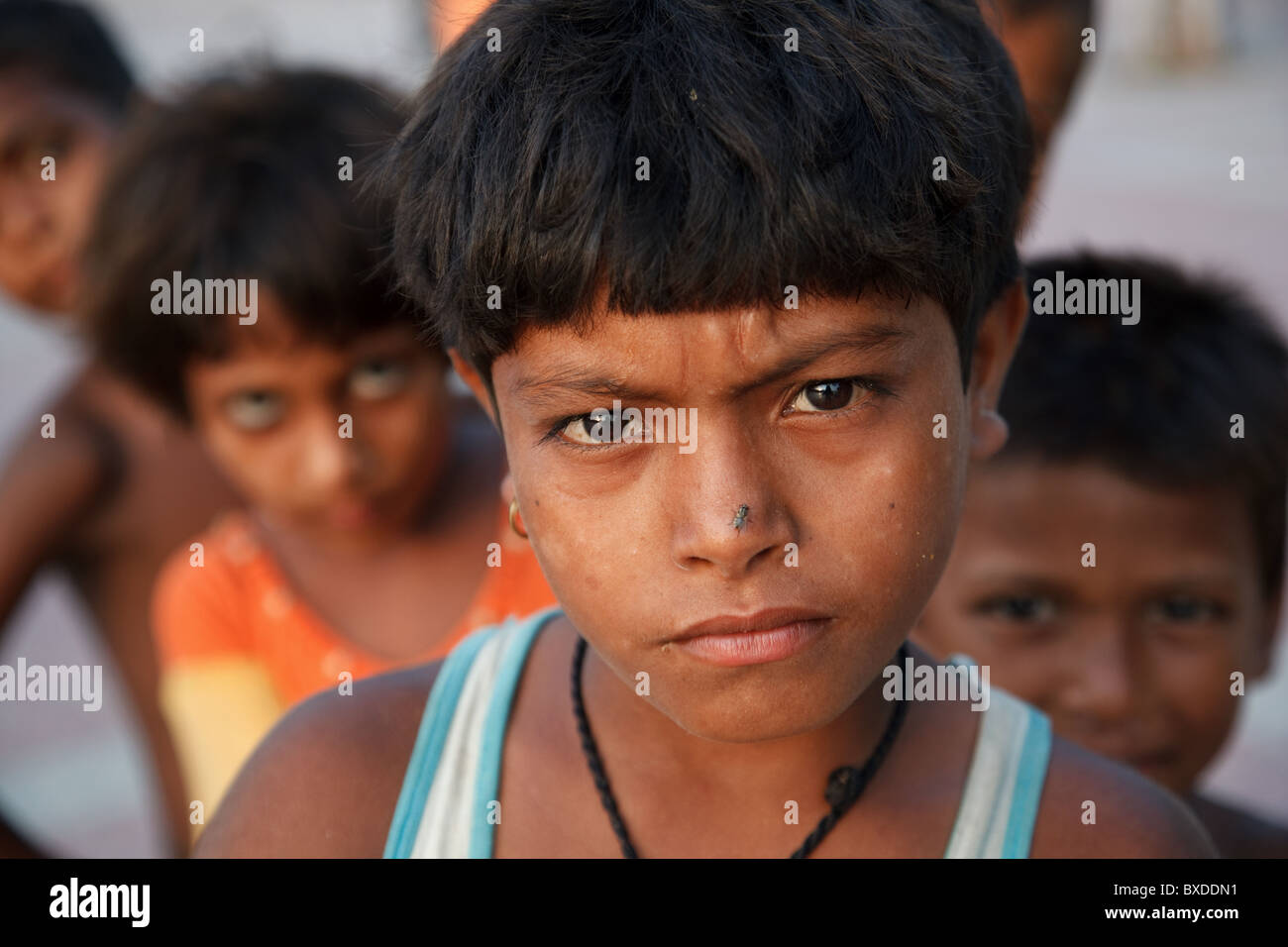 Un ritratto di un ragazzo con una mosca sul suo naso con un gruppo di altri bambini dietro di lui in Haridwar, Uttarakhand, India. Foto Stock