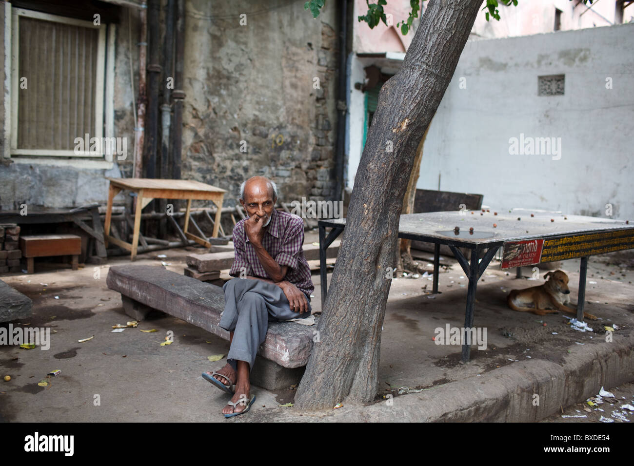 Un vecchio uomo si siede sotto un albero di Nuova Delhi, capitale dell'India. Foto Stock