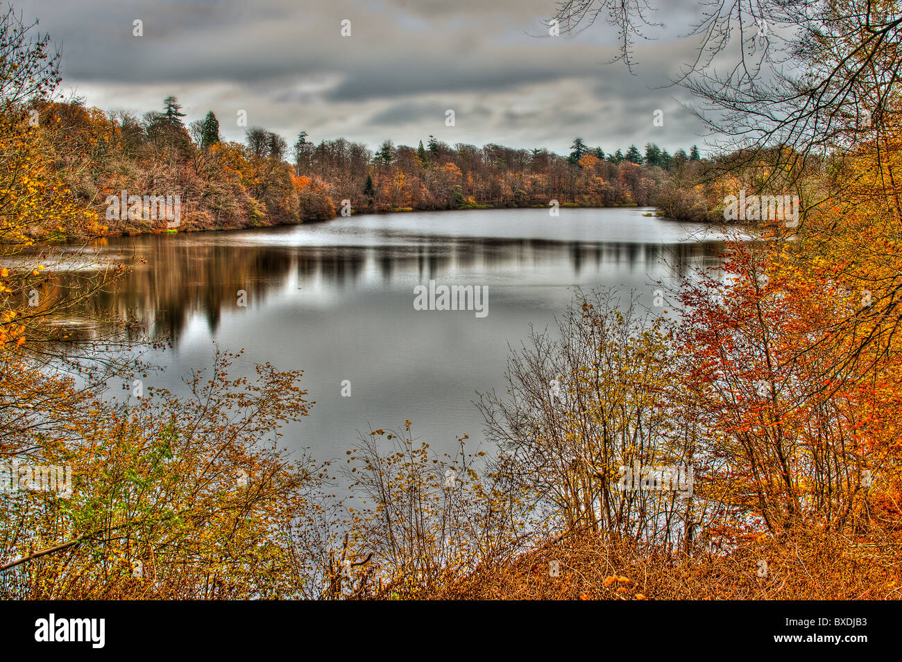 Vista di lontano dal lago in autunno Foto Stock