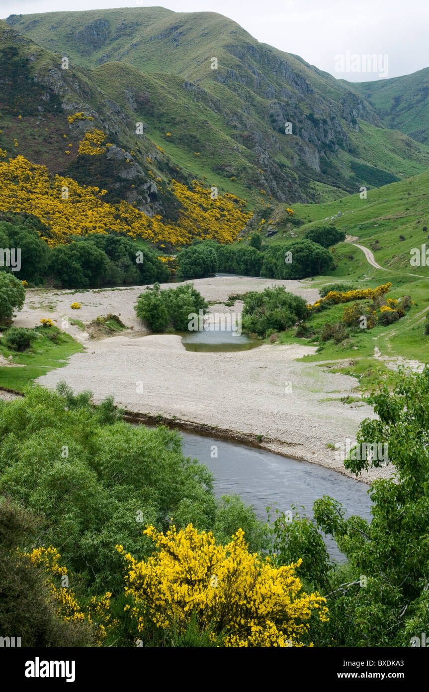 La gola di Taieri a Hindon, Central Otago, Nuova Zelanda Foto Stock