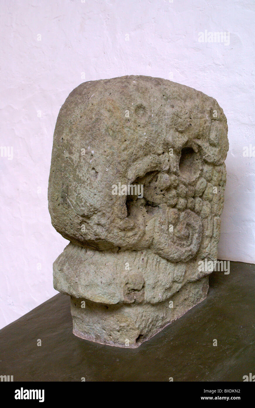 Macaw testa scultura in Copan Museo di Scultura presso le rovine maya di Copan, Honduras Foto Stock