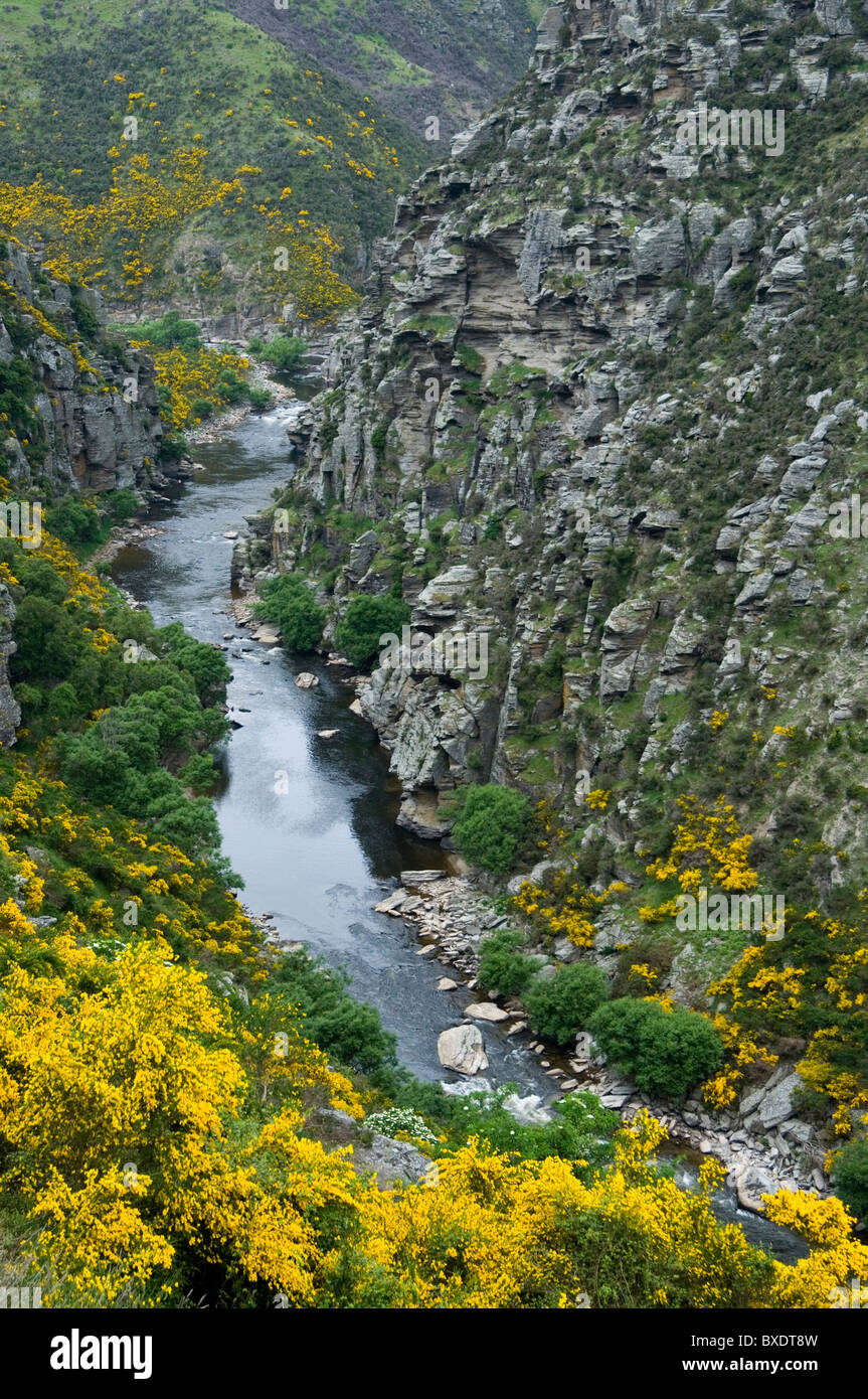 Taieri Gorge railway di Central Otago, Nuova Zelanda Foto Stock