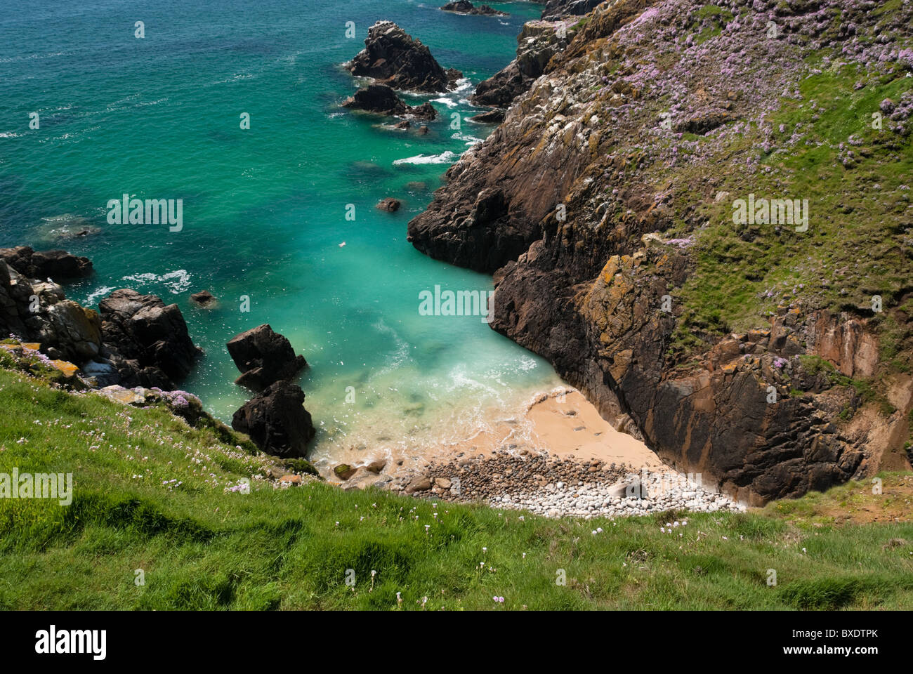 Grande Isola Saltee, Wexford, Irlanda Foto Stock