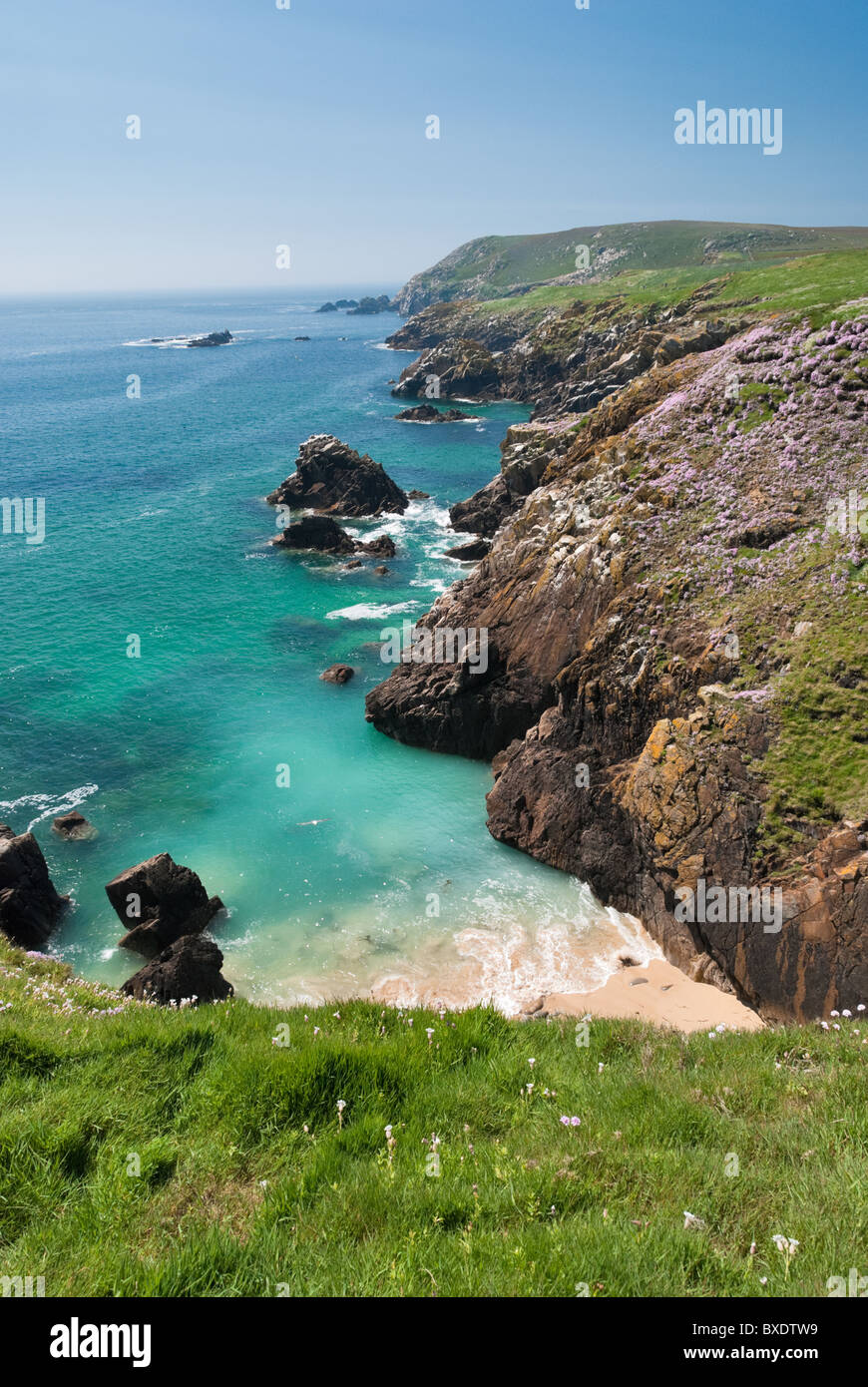 Grande Isola Saltee, Wexford, Irlanda Foto Stock