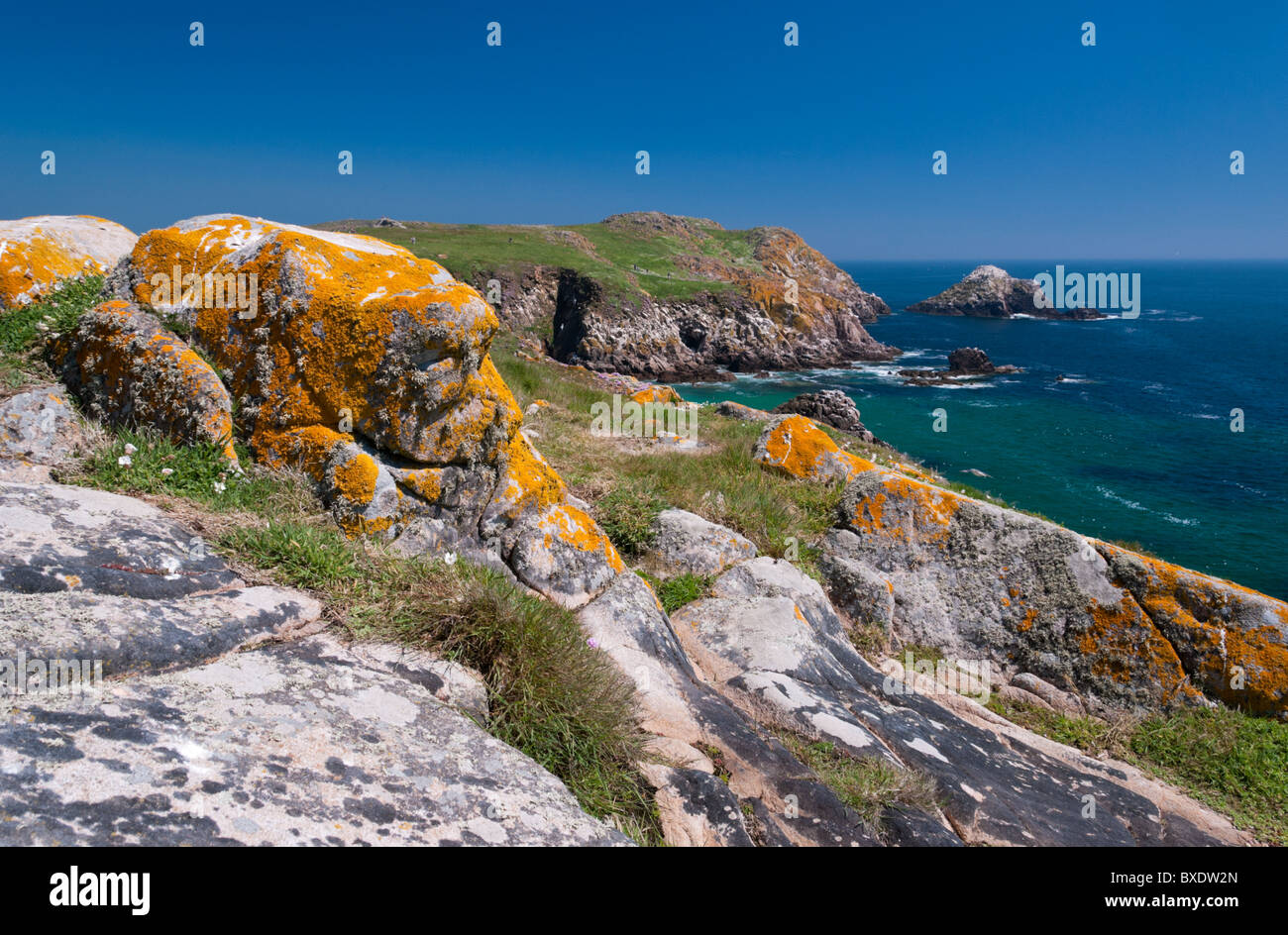 Grande Isola Saltee, Wexford, Irlanda Foto Stock