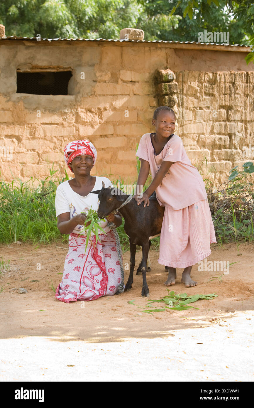 Mrs.Magesa Emmy e sua figlia Janet Ngasha (8) alimentare uno della famiglia capre in Dodoma, Tanzania Africa Orientale. Foto Stock