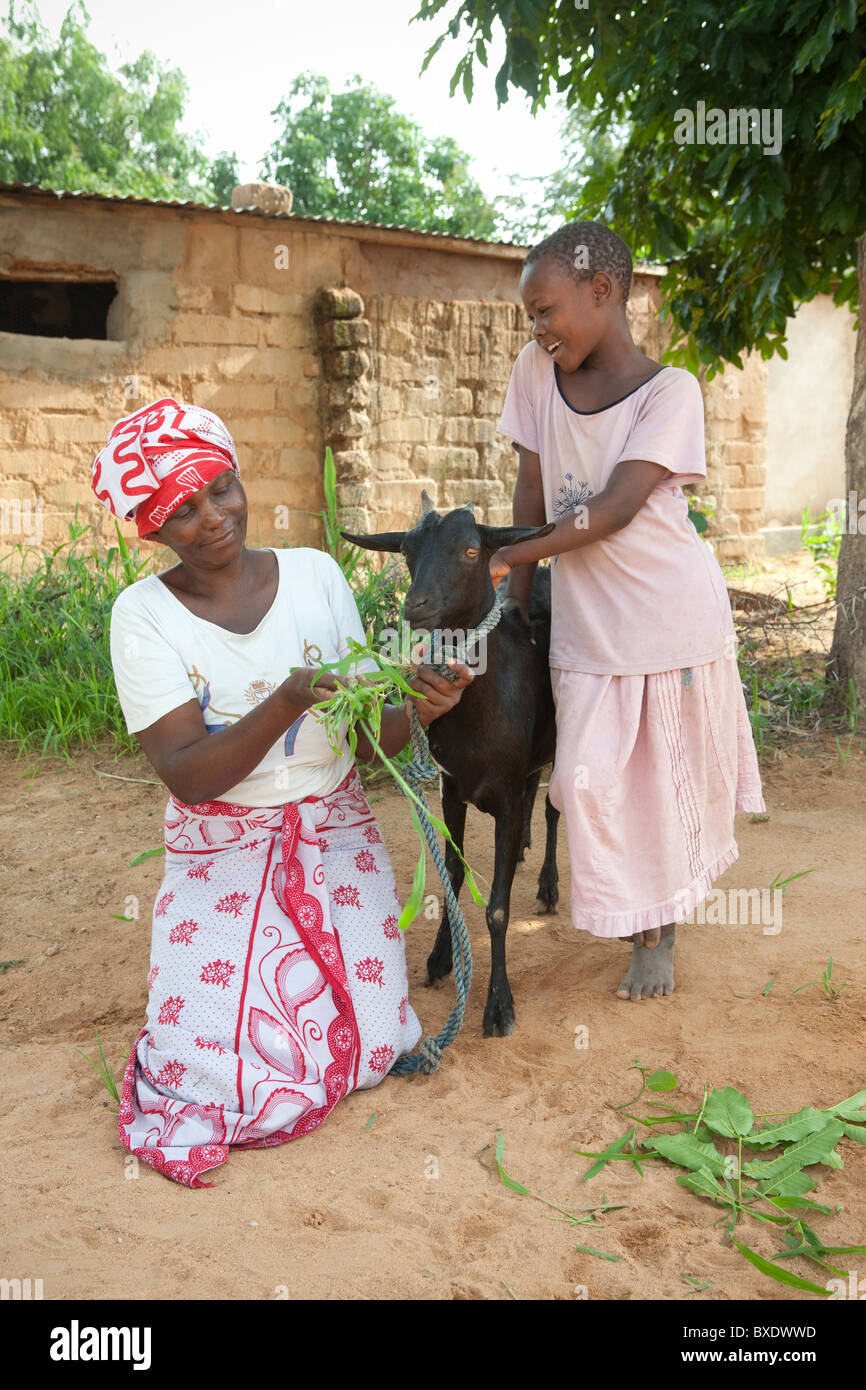 Mrs.Magesa Emmy e sua figlia Janet Ngasha (8) alimentare uno della famiglia capre in Dodoma, Tanzania Africa Orientale. Foto Stock