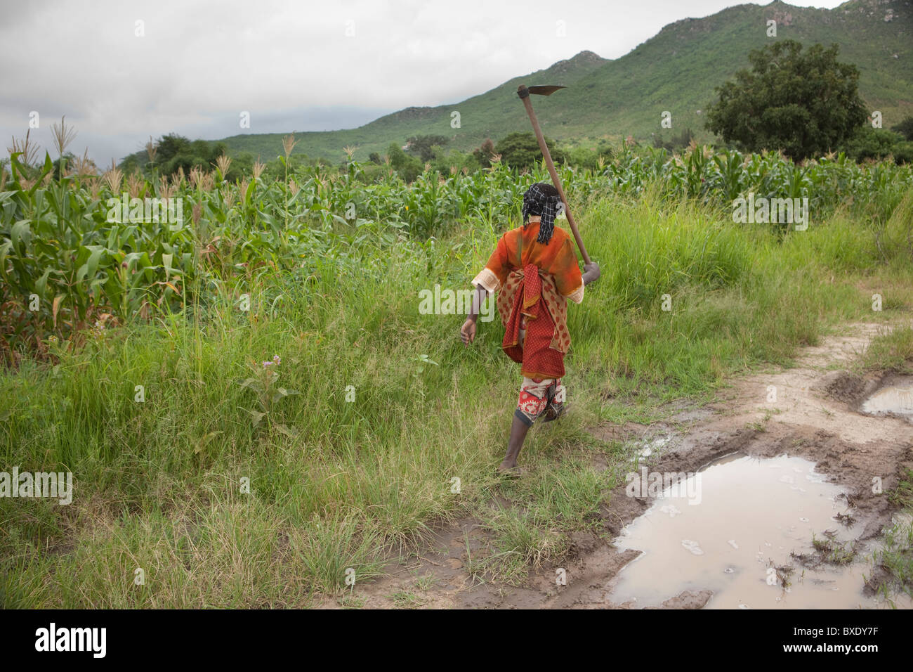 La sig.ra Khabitu alleato Mkude è un agricoltore che vive al di fuori di Iringa, Tanzania Africa Orientale. Foto Stock