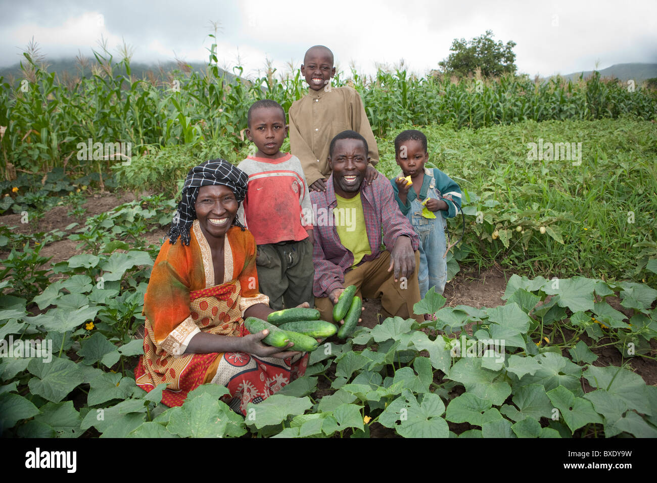 Una famiglia nel loro campo vegetale ad Iringa, Tanzania Africa Orientale. Foto Stock