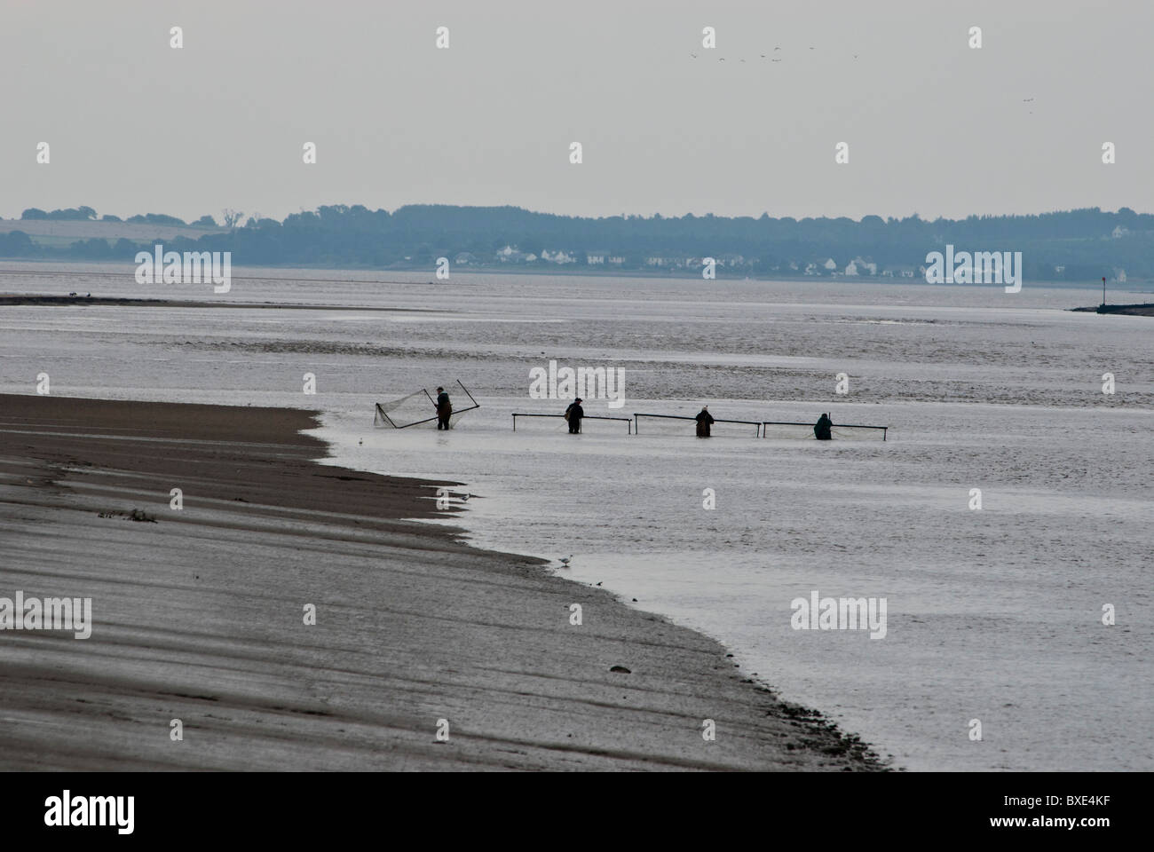 4 I pescatori reti Haaf flood tide salmone sul Fiume Nith estuario Glencaple, Dumfries and Galloway, Scozia. Regno Unito Solway Firth Foto Stock