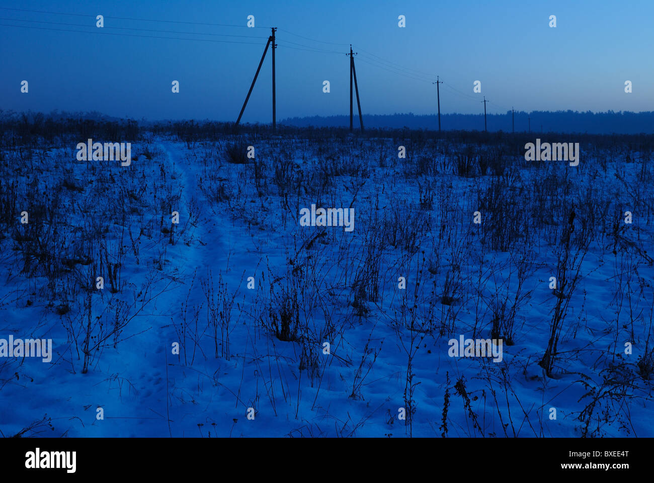 Sera d'inverno scena, Ucraina, Europa orientale Foto Stock