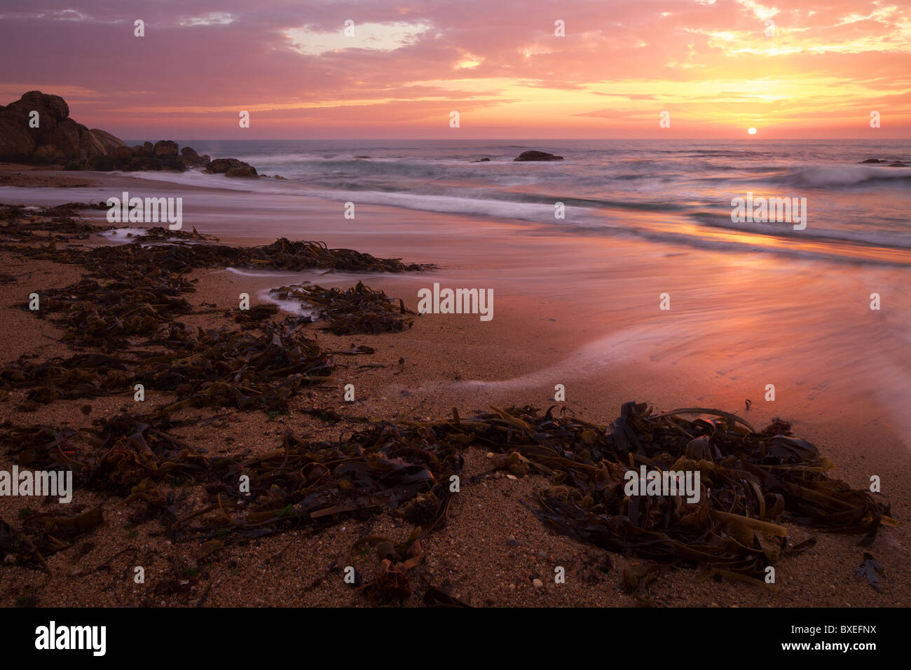 Tramonto sulla spiaggia con le alghe di mare sulla sabbia e onde che si infrangono, Miramar, Portogallo Foto Stock