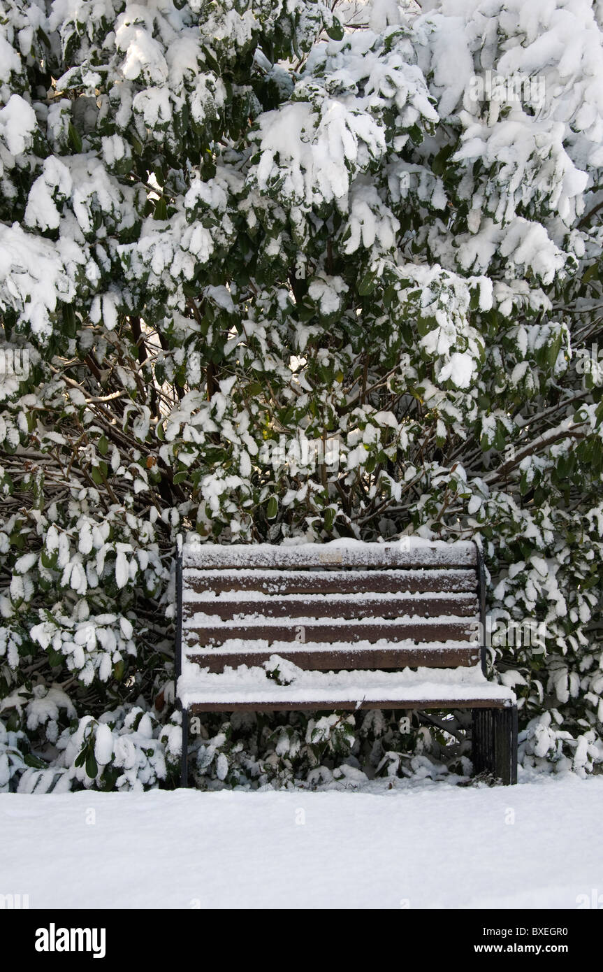 Un congelato coperto di neve banco in un parco locale. Foto Stock