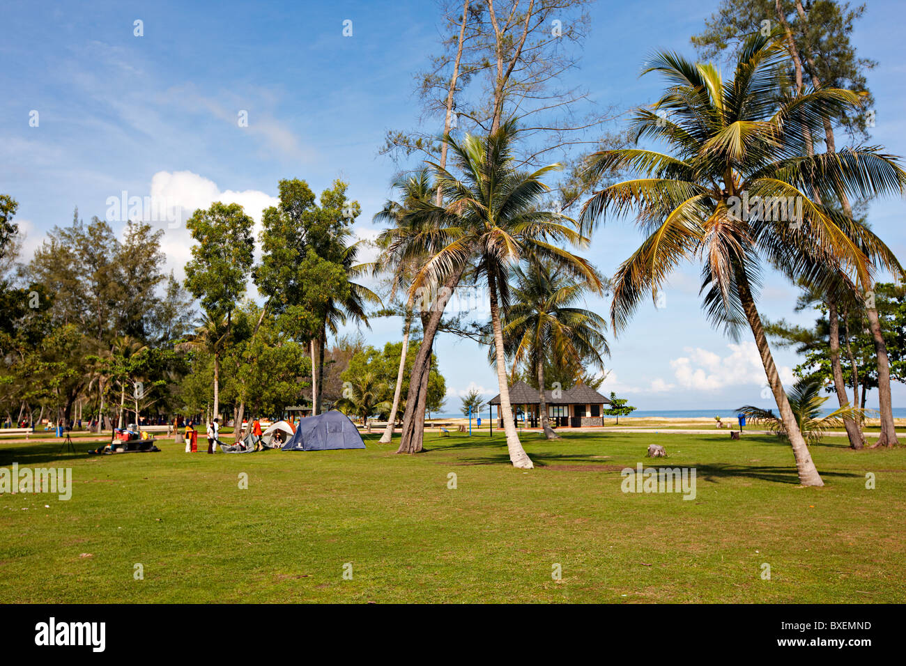 Campeggio al Pantai Muara beach, Muara, Brunei Darussalam, Asia Foto Stock
