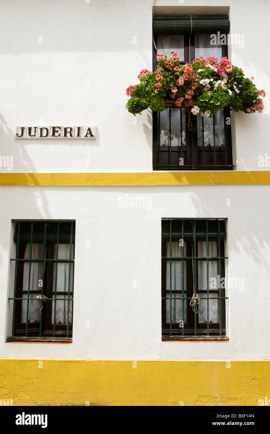 Il geranio cresce in una casella della finestra sulla parte anteriore di una casa con tre finestre, zona di Santa Cruz di Siviglia, Spagna Foto Stock