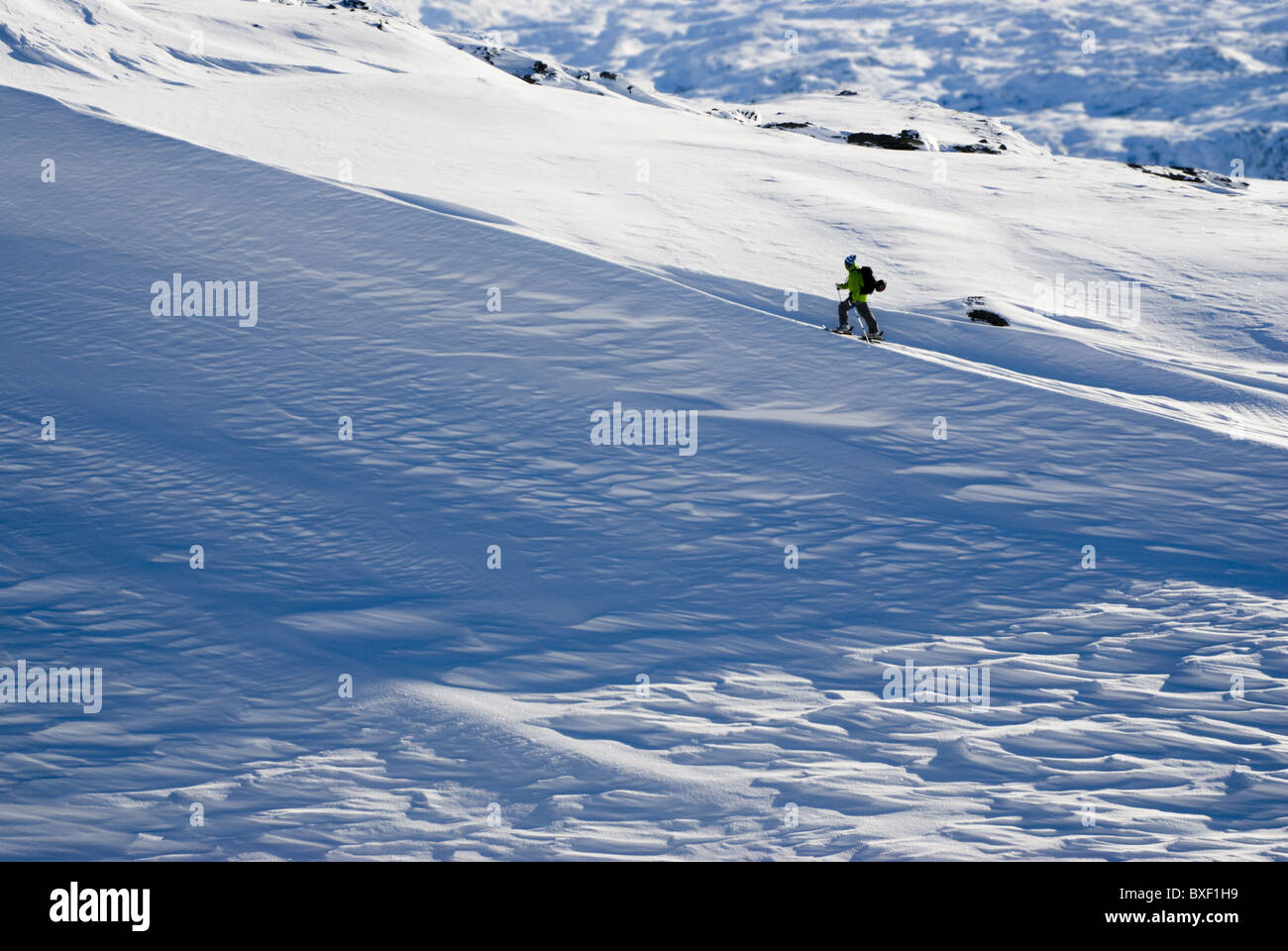 Telemark lo sciatore escursionismo su un crinale nevoso vicino a Narvik, Norvegia. Foto Stock