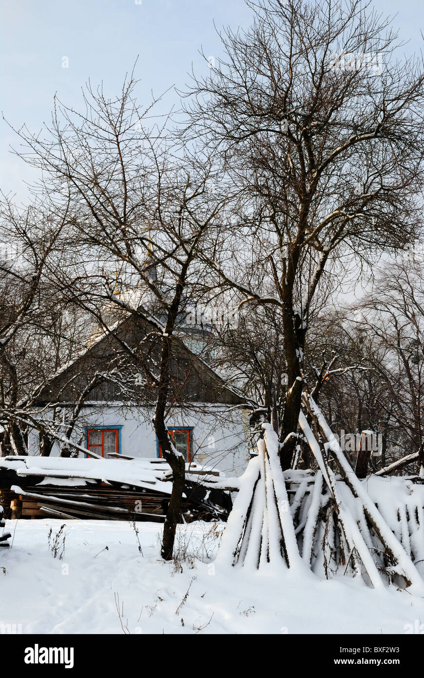 Scena invernale in campagna, Ucraina, Europa orientale Foto Stock