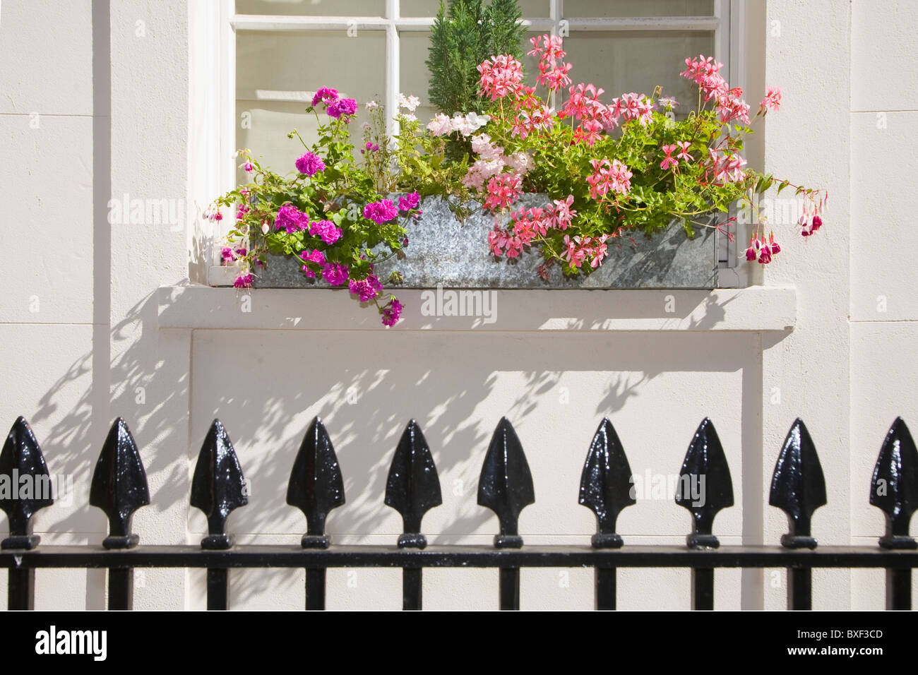 Vecchio ferro battuto recinzione e window box in Whitehall, Londra Foto Stock