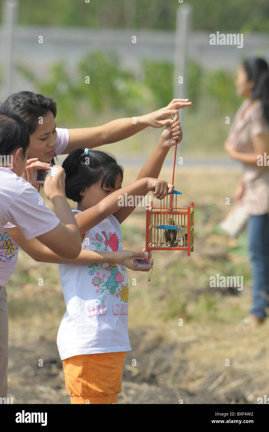 Piccola ragazza tailandese con la madre rilasciando gli uccelli di piccole dimensioni per rendere merito, il girasole flields , Lopburi , Tailandia Centrale Foto Stock