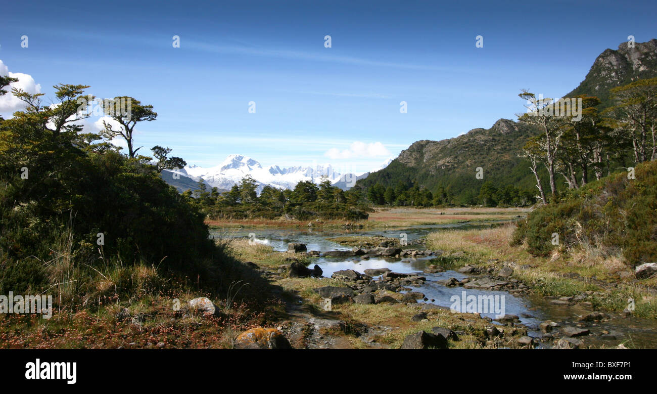 Bellissima valle, Mare Australis crociera, dritto di Magellano, Tierra del Fuego, Cile in Argentina, Sud America Foto Stock