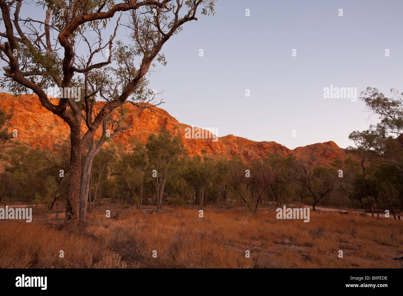 Twilight sulle rocce rosse di Trephina Gorge, Alice Springs, Territorio del Nord Foto Stock