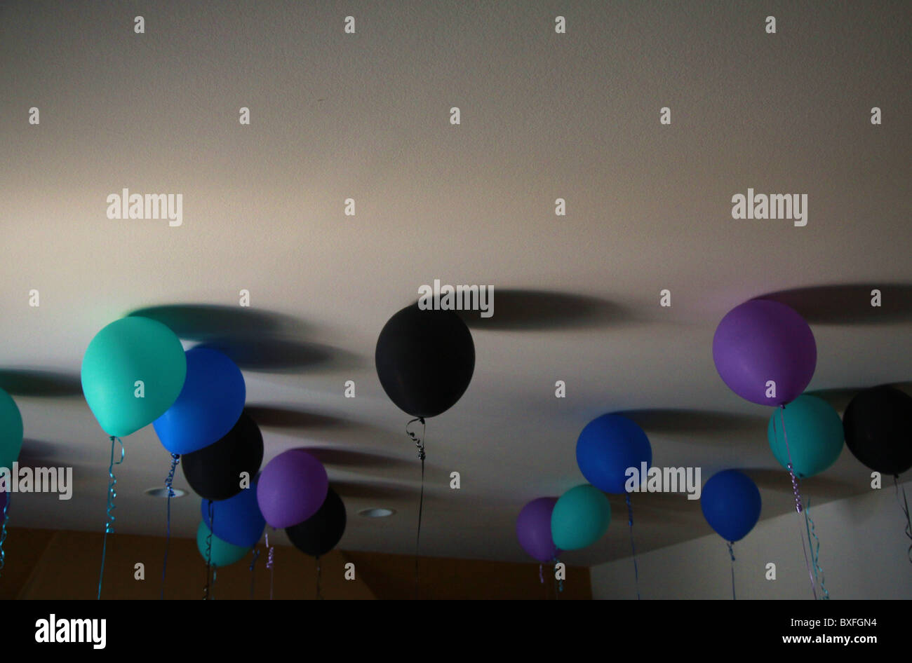 Un mazzetto di elio palloncini pieni su un soffitto. Foto Stock