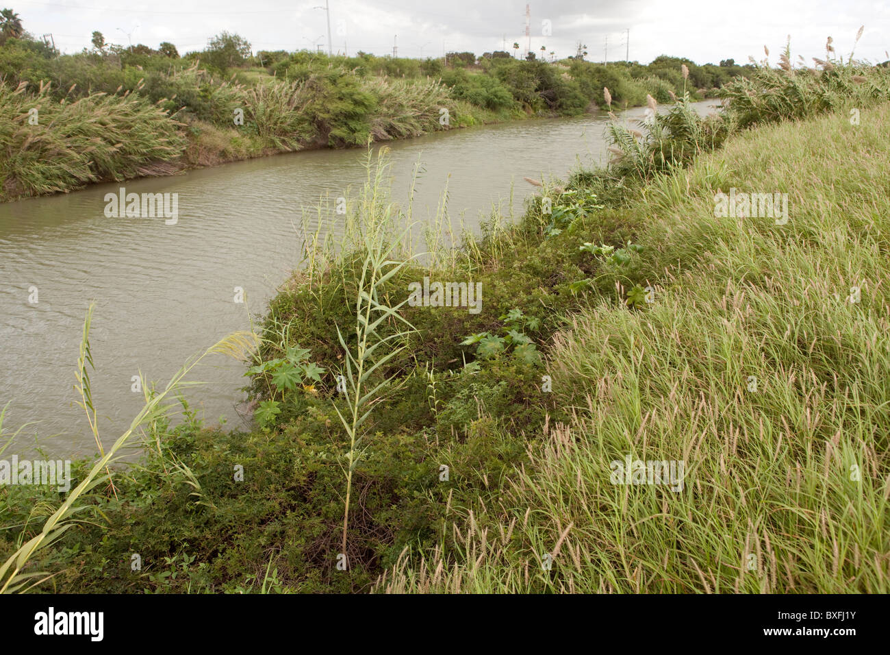 Le banche non sviluppata del Rio Grande Fiume che scorre attraverso il centro cittadino di Brownsville, Texas, guardando ad ovest di Matamoros, Messico Foto Stock
