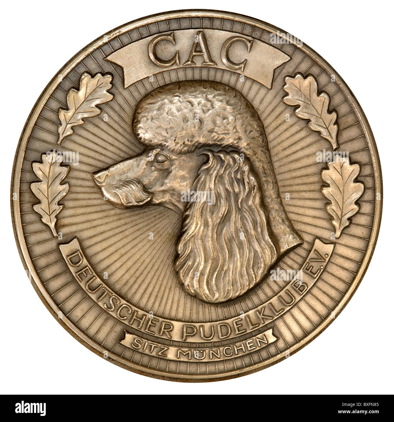 Decorazioni, Germania, medaglia del Club tedesco della poodle, 1970, diritti aggiuntivi-clearences-non disponibile Foto Stock