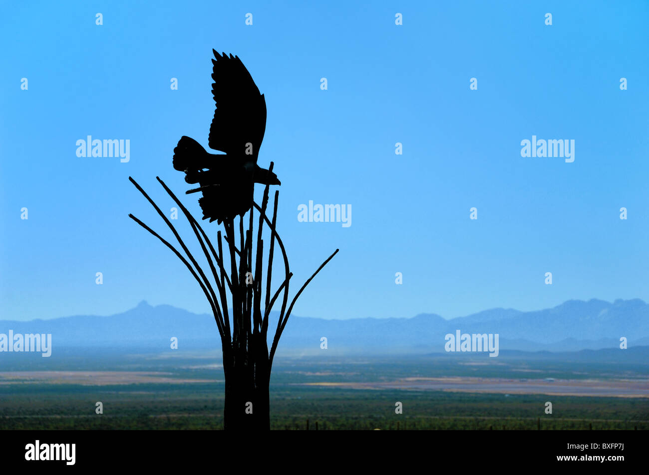 La scultura di un uccello tenuto fuori dallo scheletro di un cactus Saguaro al Desert Museum, nei pressi di Tucson, Arizona, Stati Uniti d'America Foto Stock