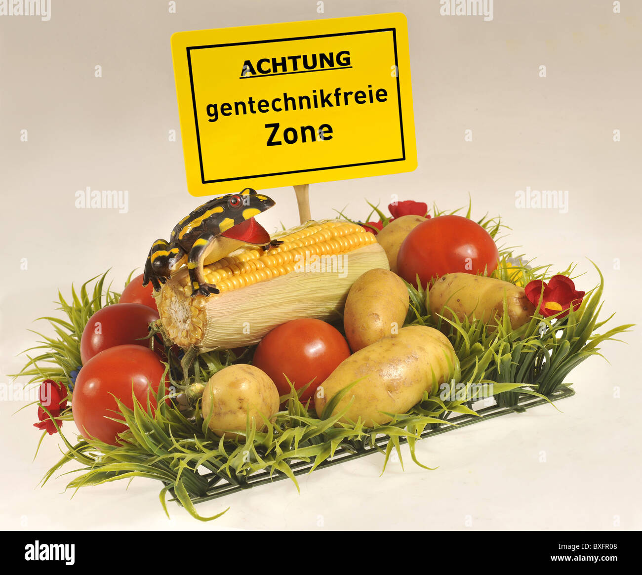 Simbolo senza ogm immagini e fotografie stock ad alta risoluzione - Alamy