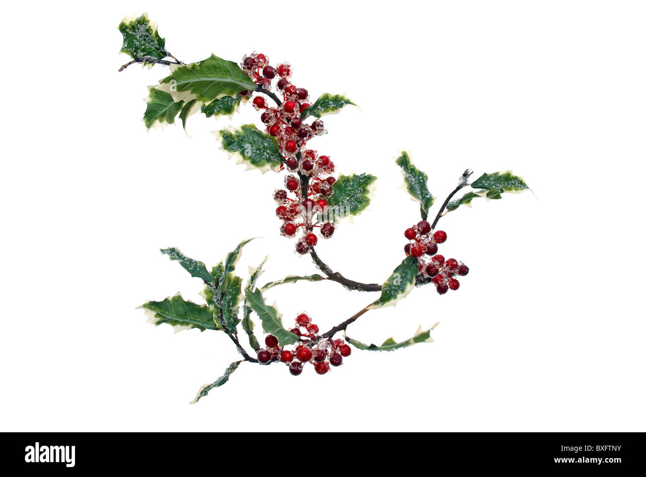 Disposizione di Natale isolato su sfondo bianco. Foto Stock