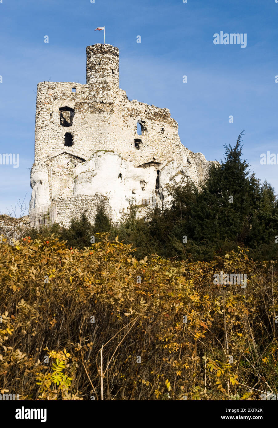 Mirow Castle, Slesia Voiodeship, Polonia Foto Stock