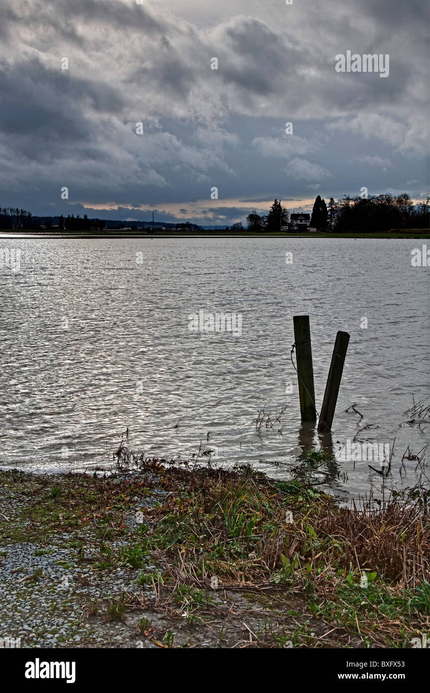 Le acque di esondazione dal fiume Stillaguamish versata su terreni di recente. La catastrofe naturale ha avuto luogo il 14 dicembre 2010. Foto Stock