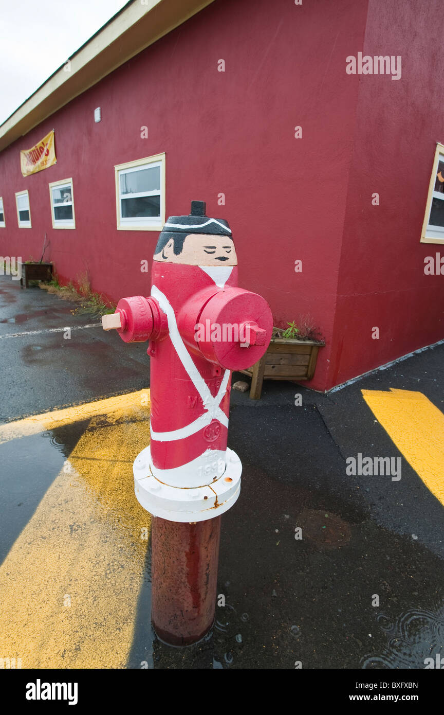 Idrante antincendio dipinto Liverpool, Nova Scotia, Canada. Foto Stock